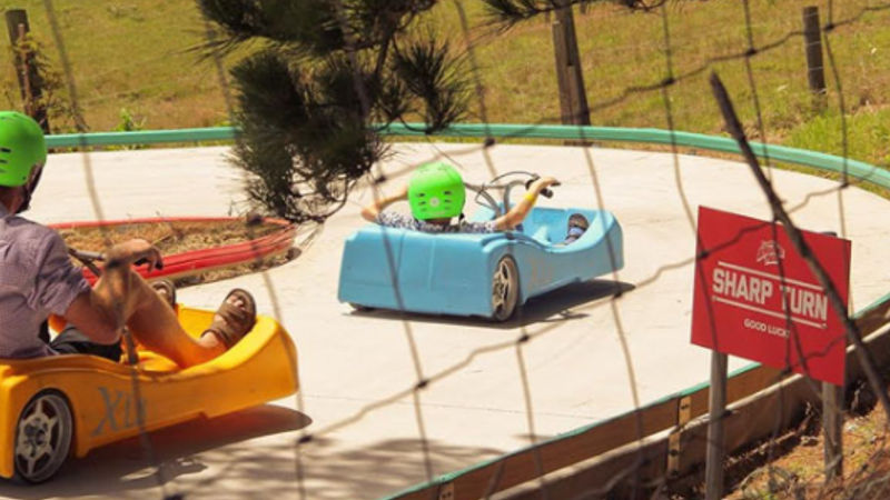 Auckland Adventure Park is the ultimate day out or the whole family!
